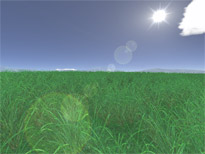 Green Fields 3D