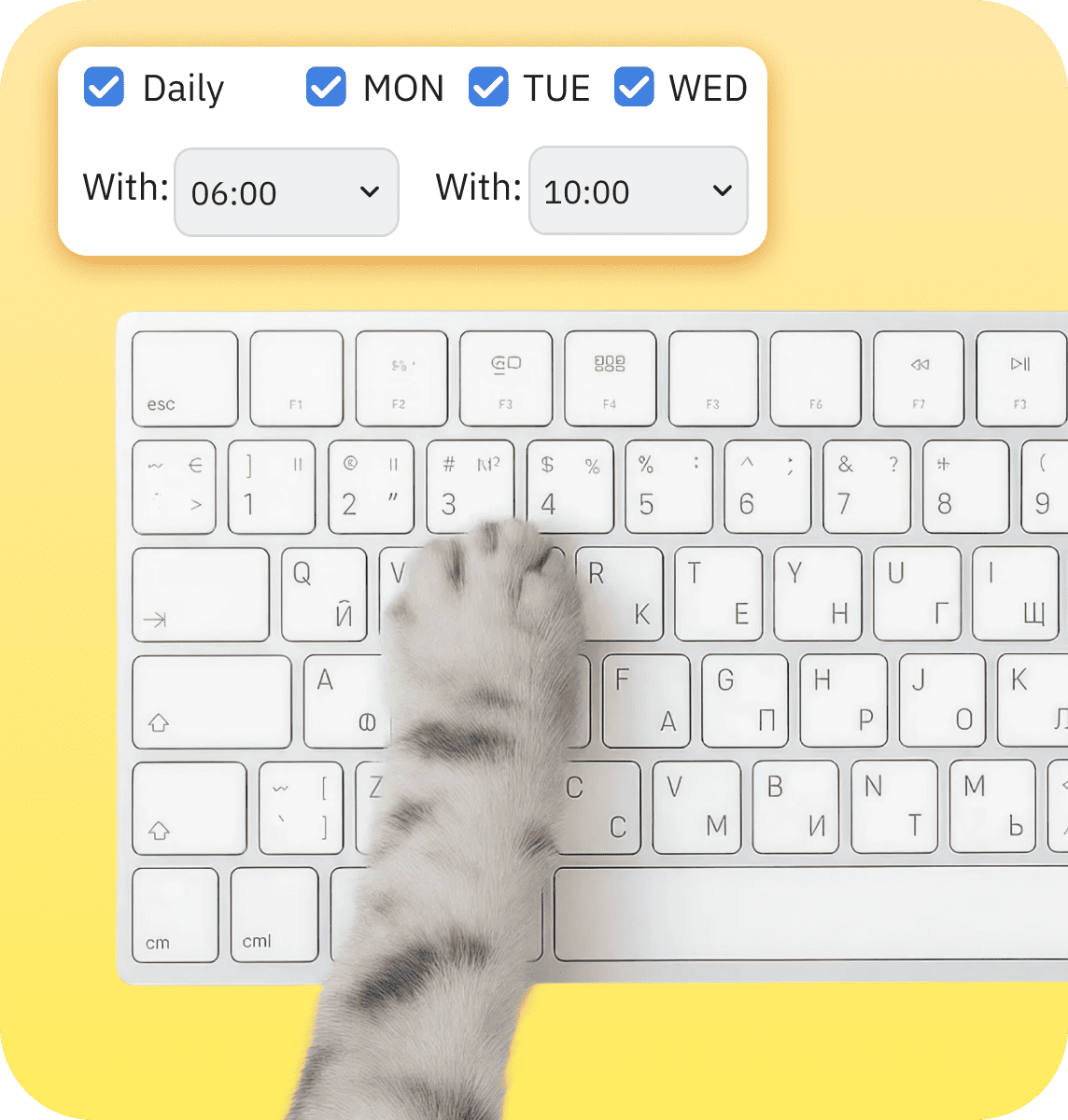 A cat managing downloads