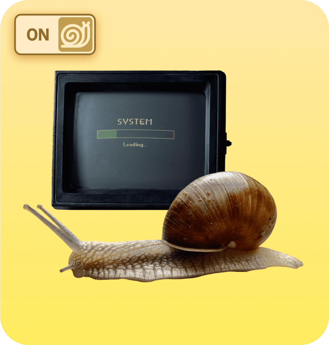 a snail against the background of a monitor with a load bar
