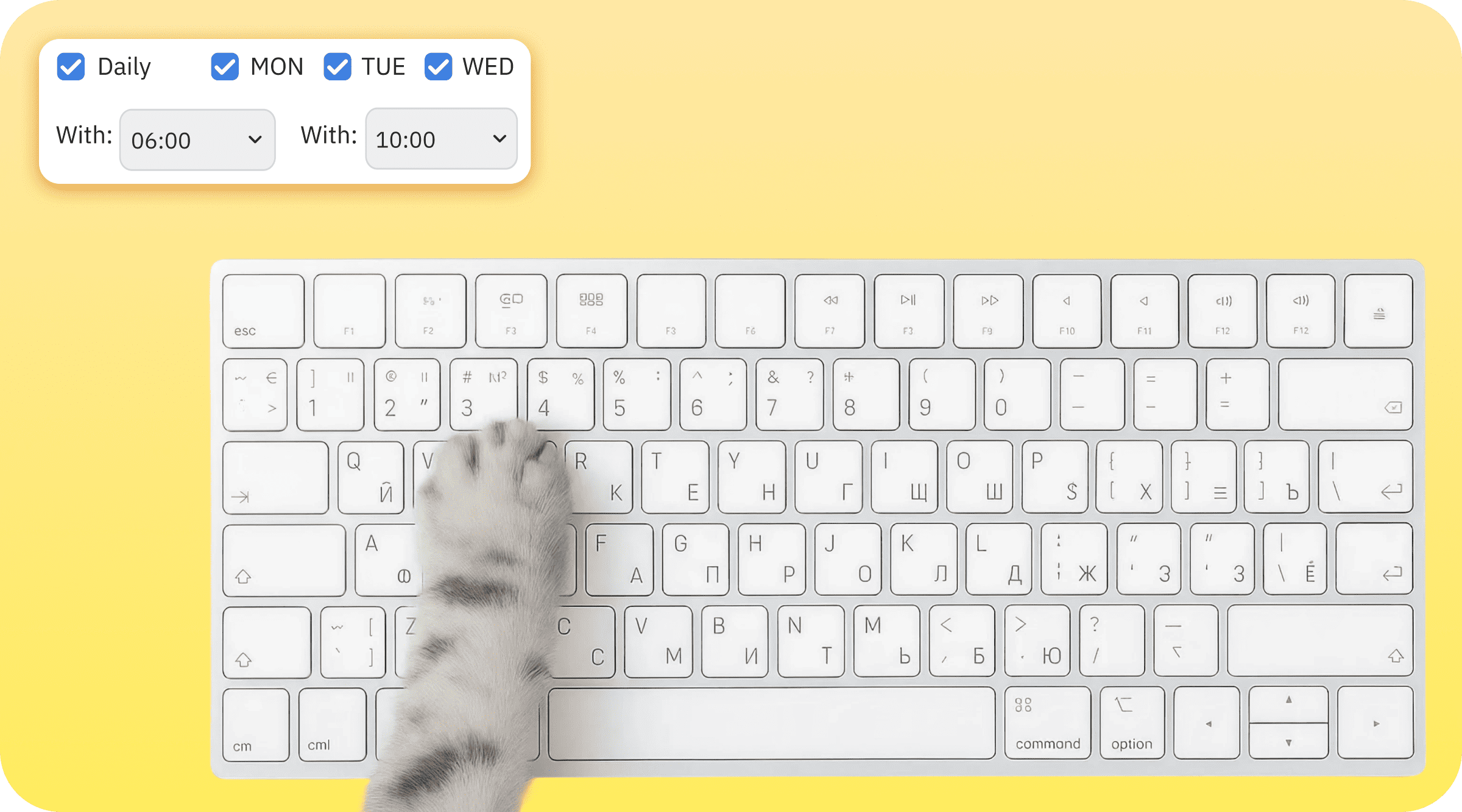 A cat managing downloads
