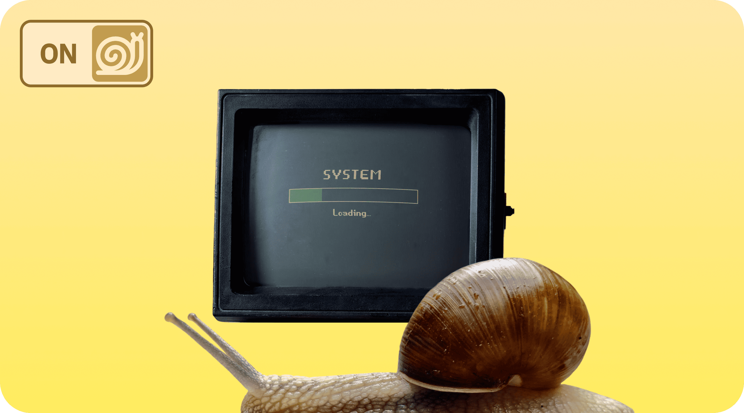 a snail against the background of a monitor with a load bar